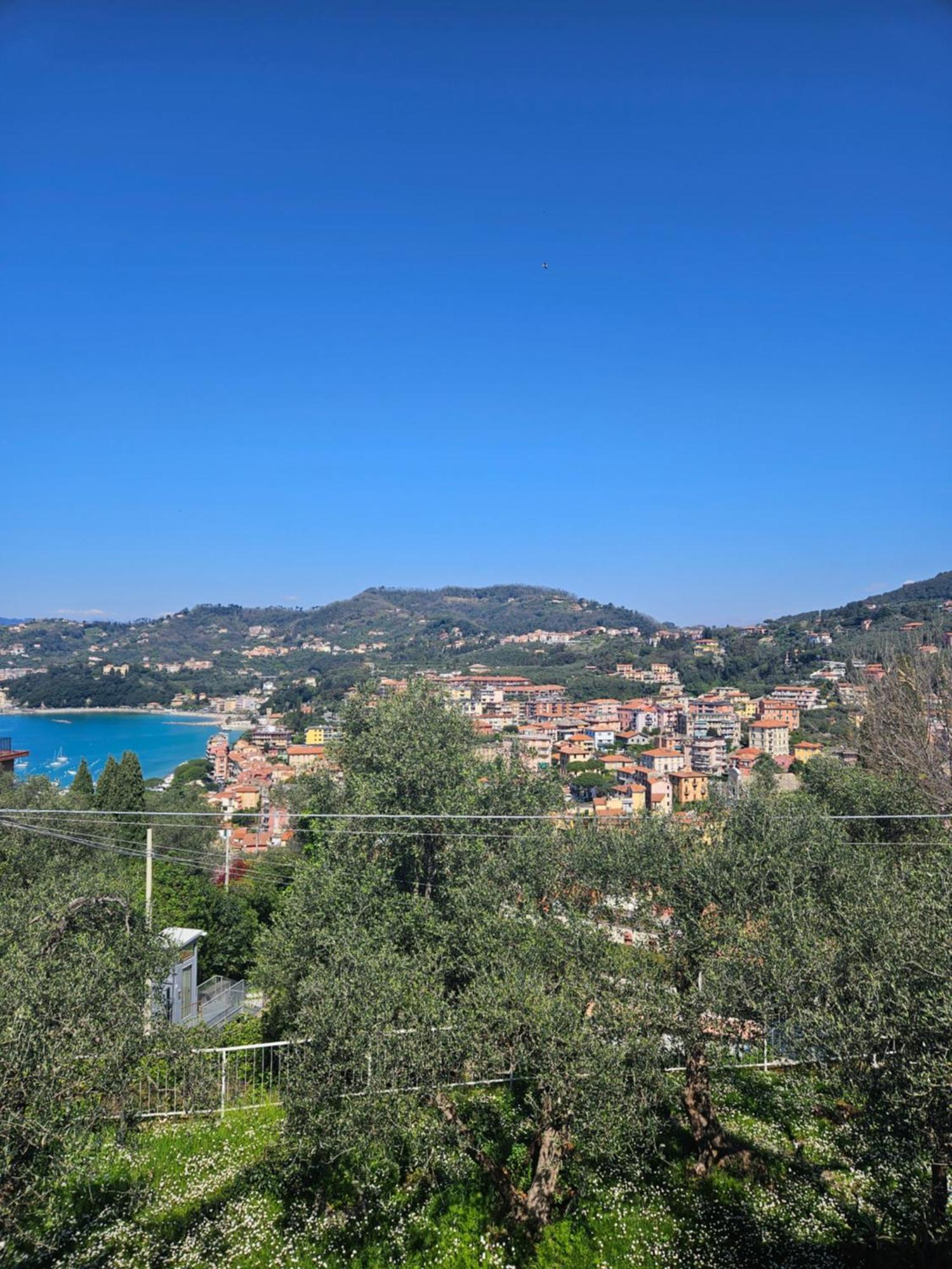 Villa Degli Ulivi - Free Parking Lerici Bagian luar foto